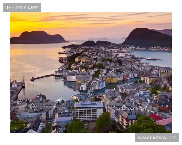 聚焦环球企业家创新实践与全球商业未来发展趋势深度洞察报告全面 聚焦环球企业家创新实践与全球商业未来发展趋势深度洞察报告全面