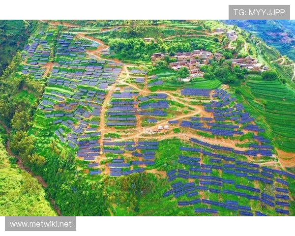 聚焦天津企业家创新故事描绘新时代滨城经济腾飞宏伟发展蓝图新篇章 聚焦天津企业家创新故事描绘新时代滨城经济腾飞宏伟发展蓝图新篇章